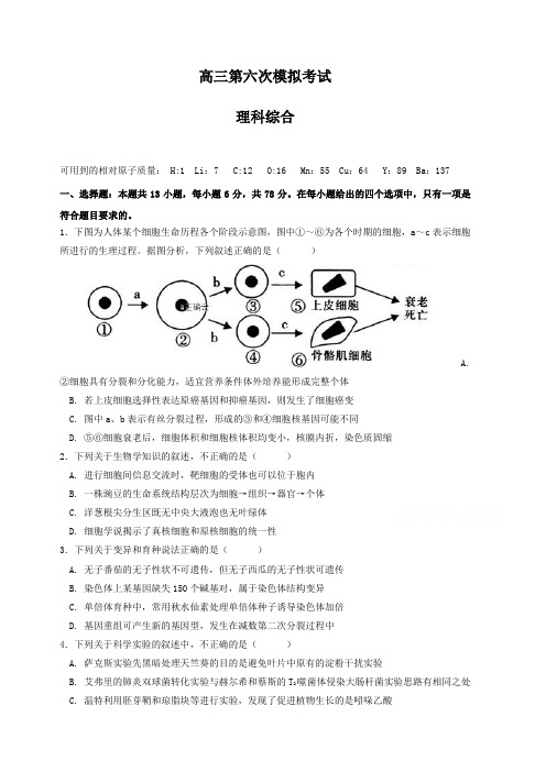 贵州省遵义航天高级中学2019届高三第六次高考模拟考试理科综合试卷(含答案)