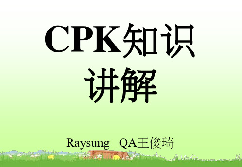 CPK知识讲解