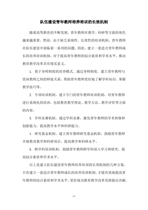 队伍建设青年教师培养培训的长效机制