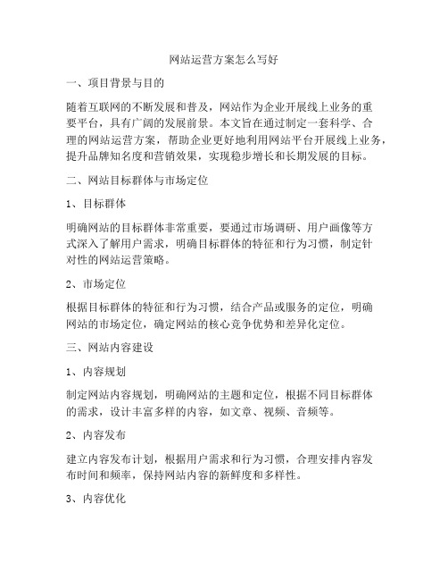 网站运营方案怎么写好