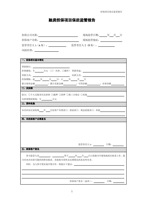 融资担保项目保后监管报告