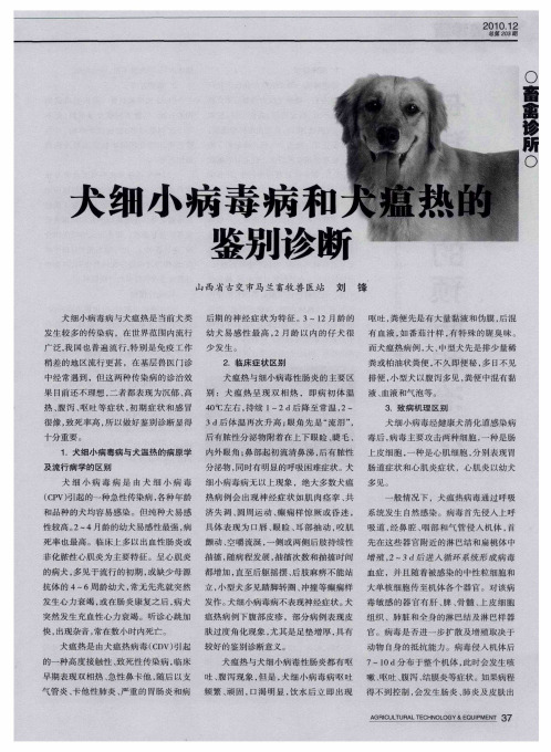 犬细小病毒病和犬瘟热的鉴别诊断