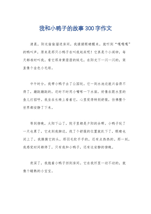 我和小鸭子的故事300字作文