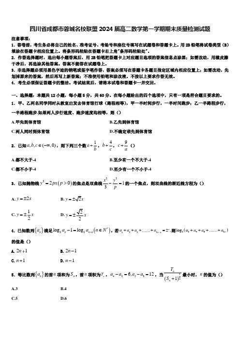 四川省成都市蓉城名校联盟2024届高二数学第一学期期末质量检测试题含解析