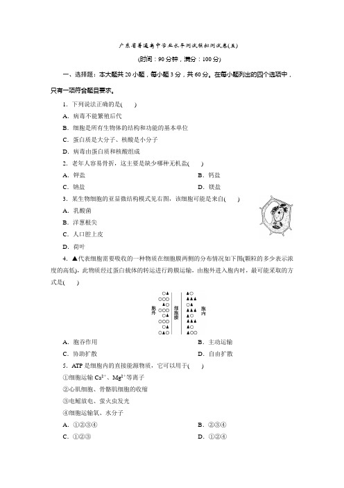 8 广东省普通高中学业水平测试模拟测试卷(五)