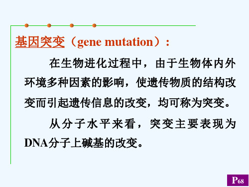 DNA损伤突变和修复