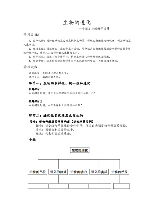 高中生物生物的进化—复习课教学设计