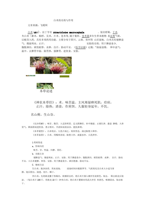 白术的功效与作用