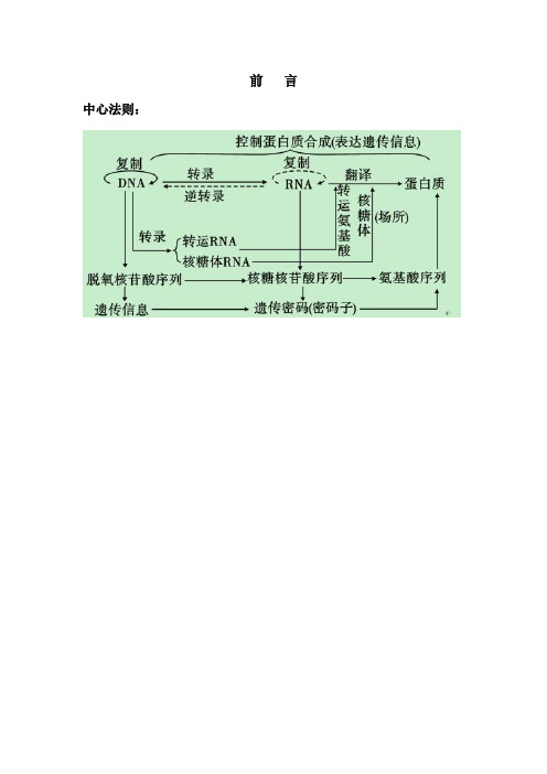 分子生物学基础知识