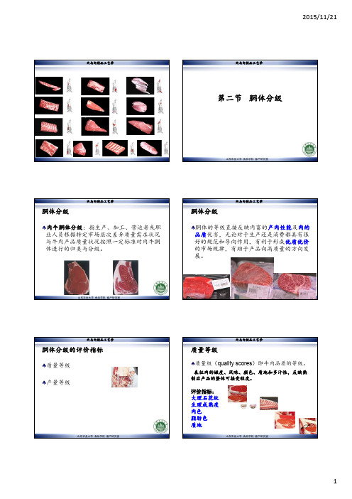 肉与肉制品 胴体分级