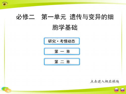 版高中生物全程复习方略配套课件(中图版)：2.1遗传与变异的细胞学基础