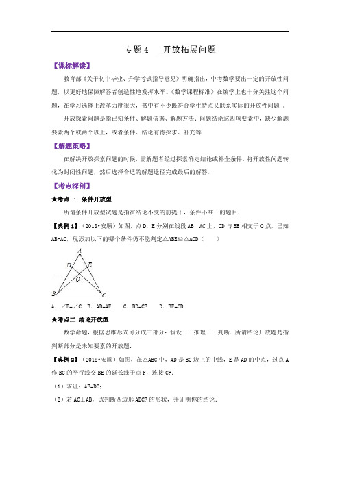 专题04 开放拓展问题(精讲)-初中中考数学高频考点突破全攻略(原卷板+解析版)