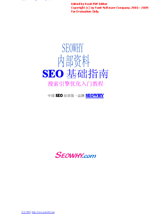 seowhy内部培训资料