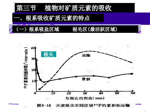 第三节植物对矿质元素的吸收