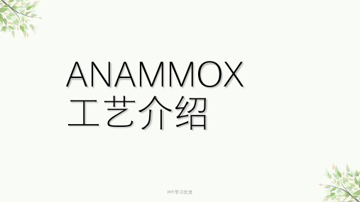 厌氧氨氧化(ANAMMOX)工艺介绍课件