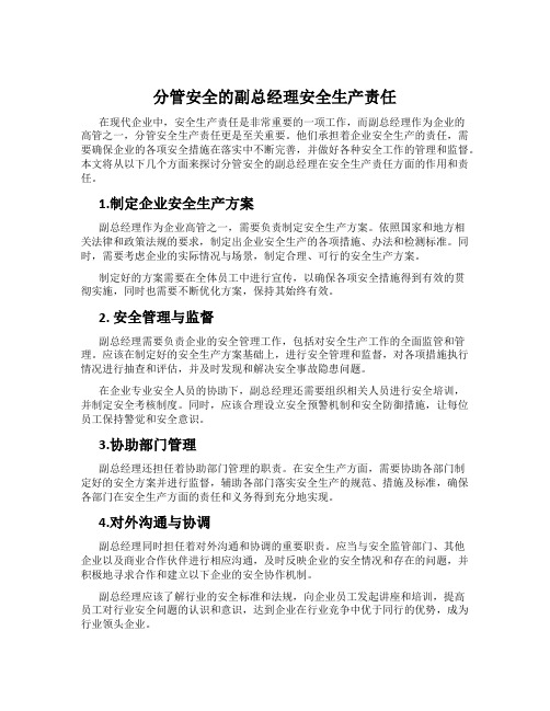 分管安全的副总经理安全生产责任