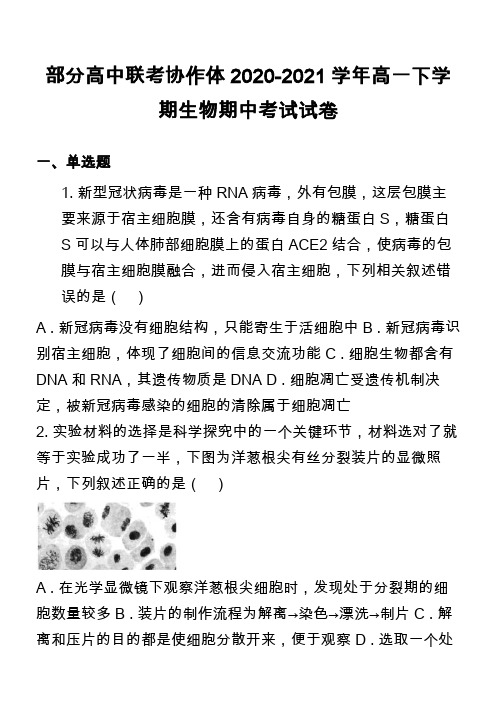 部分高中联考协作体2020-2021学年高一下学期生物期中考试试卷