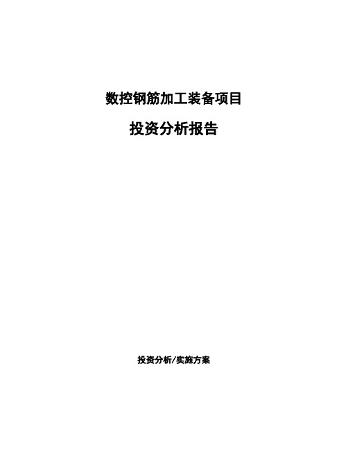 数控钢筋加工装备项目投资分析报告