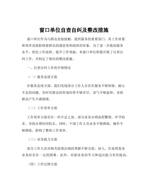 窗口单位自查自纠及整改措施