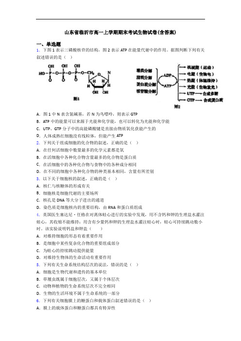 山东省临沂市高一上学期期末考试生物试卷(含答案)