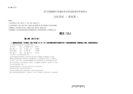 四川省2023年高职单招(普高类)语文模拟卷(九)