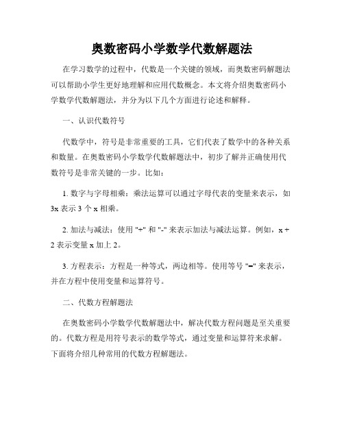 奥数密码小学数学代数解题法