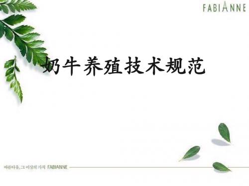 奶牛养殖技术..