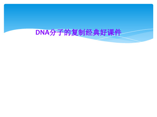 DNA分子的复制经典好课件