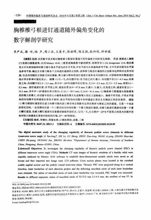 胸椎椎弓根进钉通道随外偏角变化的数字解剖学研究