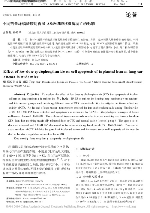 不同剂量环磷酰胺对裸鼠A549细胞移植瘤凋亡的影响_盛伟利