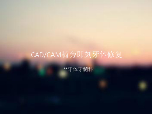 CADCAM椅旁即刻牙体修复课件