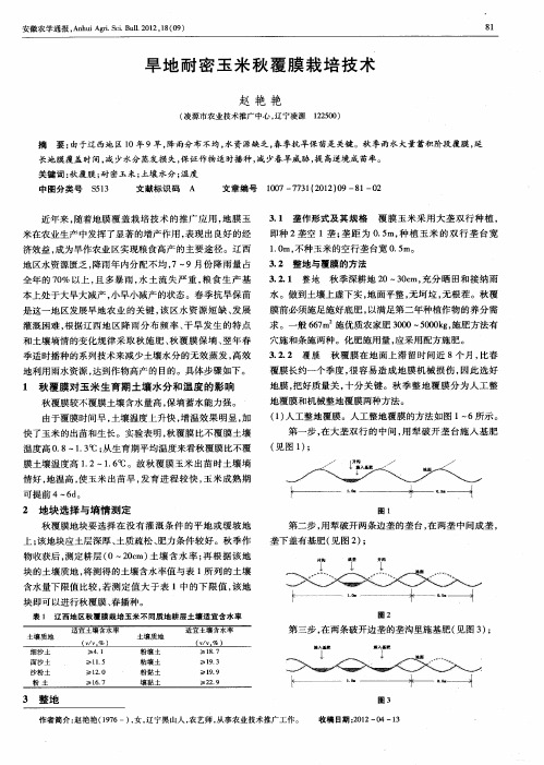 旱地耐密玉米秋覆膜栽培技术