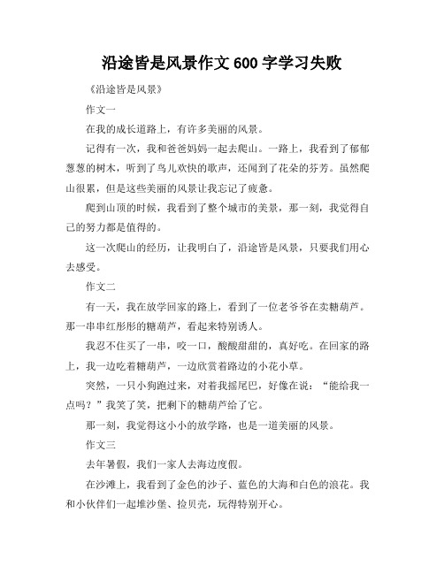 沿途皆是风景作文600字学习失败