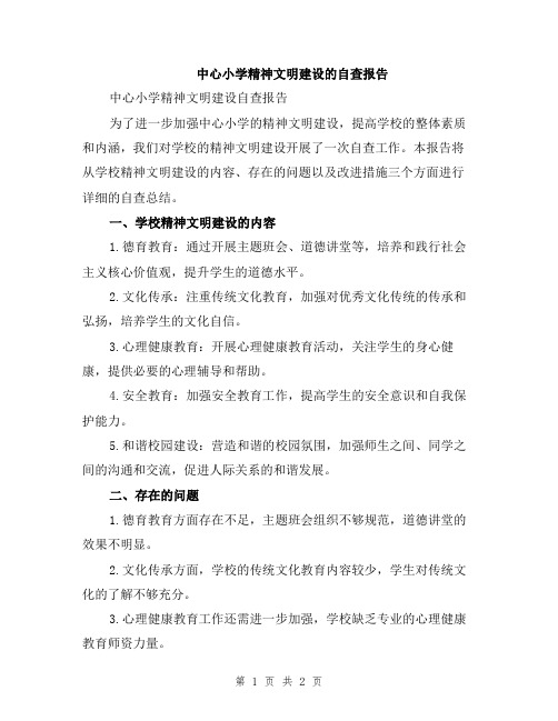 中心小学精神文明建设的自查报告