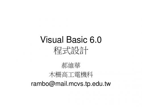Visual Basic 6.0程式设计概要