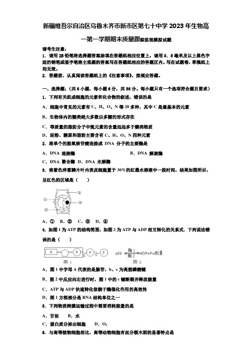 新疆维吾尔自治区乌鲁木齐市新市区第七十中学2023年生物高一第一学期期末质量跟踪监视模拟试题含解析