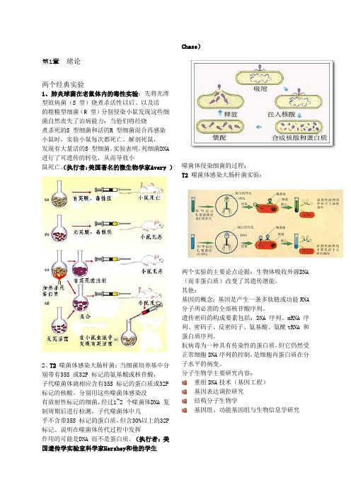 分子生物学知识点概要(大全)