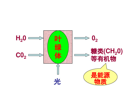 5-4能量之源——光与光合作用课件