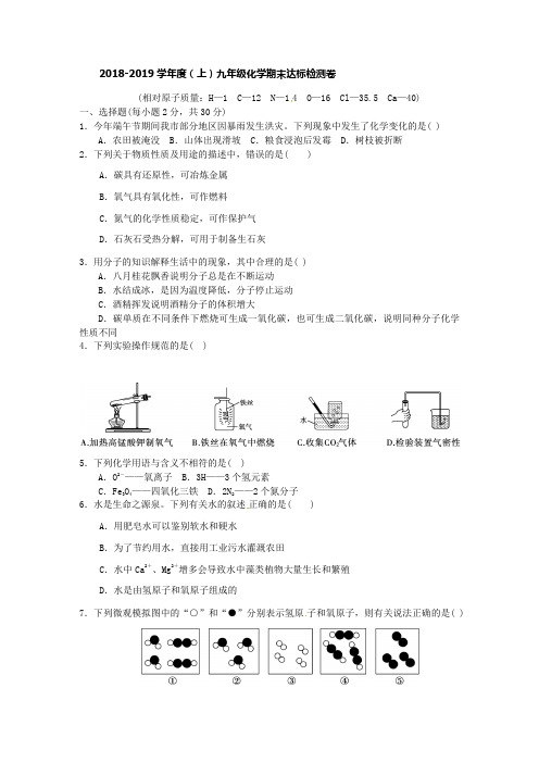 2018-2019学年度(上)九年级化学期末达标检测卷1