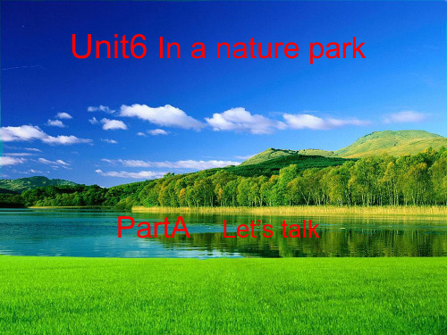 小学英语新版人教版(PEP)五年级上册Unit6 In a Nature Park PartA let's talk课件