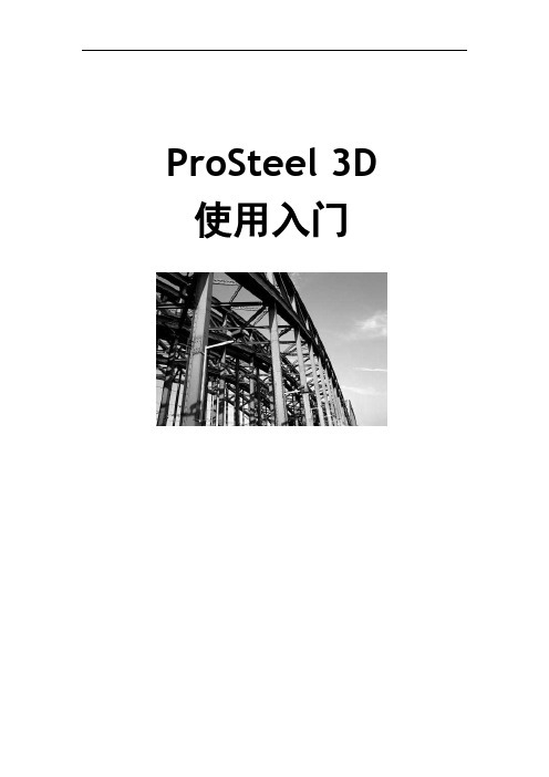 ProSteel使用教程