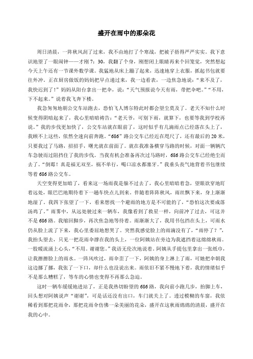 盛开在雨中的那朵花