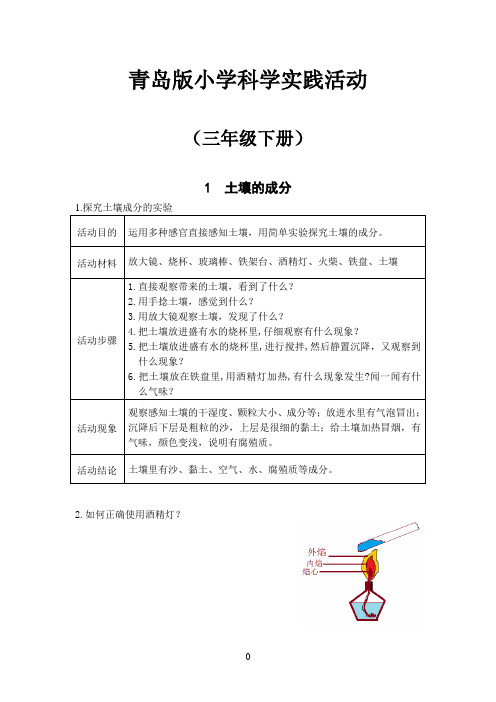 青岛版小学科学三年级下册实践活动