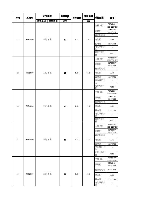 UPS执行价(大正恒业)