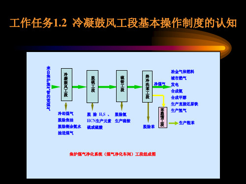 鼓冷工段—基本操作制度(焦炉煤气净化技术课件)