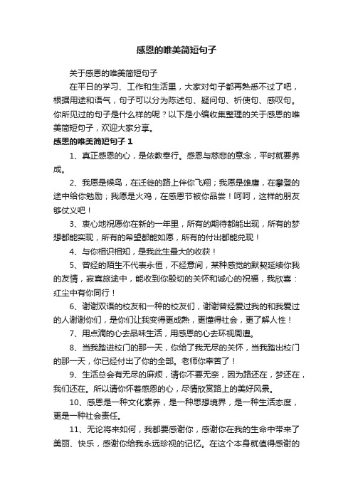 关于感恩的唯美简短句子