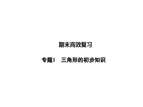 浙教版八年级数学上册课件：专题1三角形的初步知识