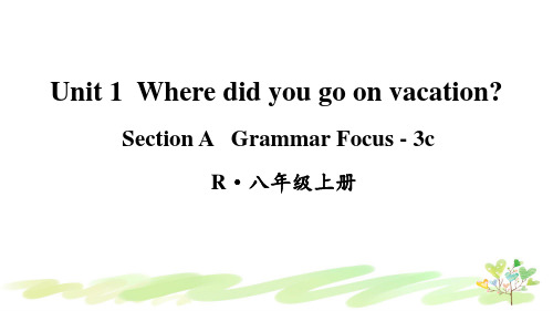 人教八年级上册英语第2课时(Section A Grammar Focus-3c)