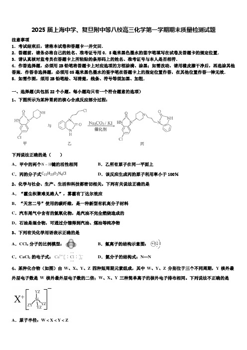 2025届上海中学、复旦附中等八校高三化学第一学期期末质量检测试题含解析