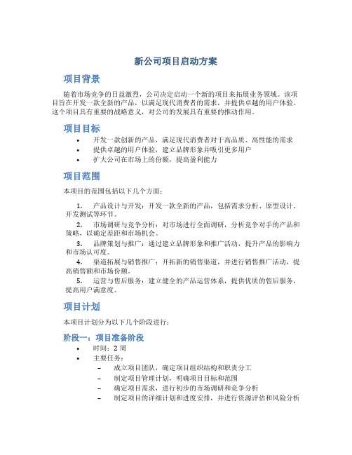 新公司项目启动方案